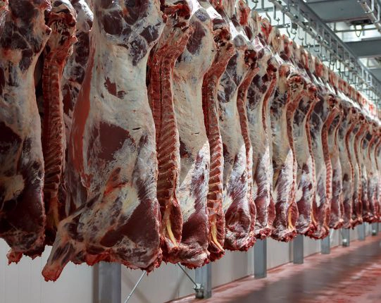 نوسانات شدید قیمت گوشت در آینده